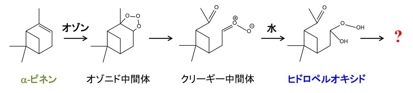 図1 植物の精油に含まれるα-ピネンのオゾン酸化で発生するヒドロペルオキシドの例。大気の凝縮相に取り込まれた後の運命はこれまでわかっていなかった。