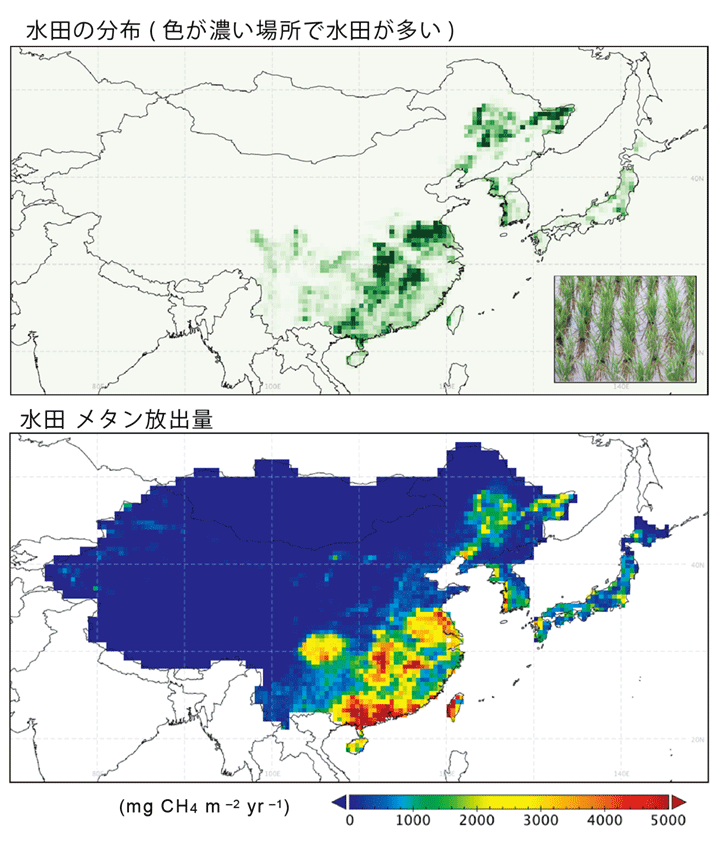 図1　本研究で使用された水田マップの例と、推定された東アジアの水田によるメタン放出量の分布。2000–2015年について複数の計算結果を平均したもの。平野部（例えば中国では華中・華南と呼ばれる地域や日本の関東平野）に水田が多く分布し、メタン放出量が大きいことが見て取れます。