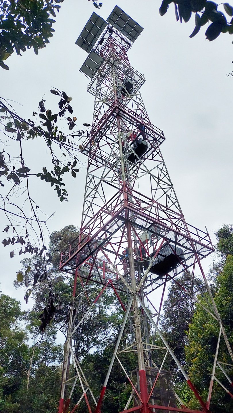写真8　高さ40mの観測タワーは近くで見ると迫力がある。