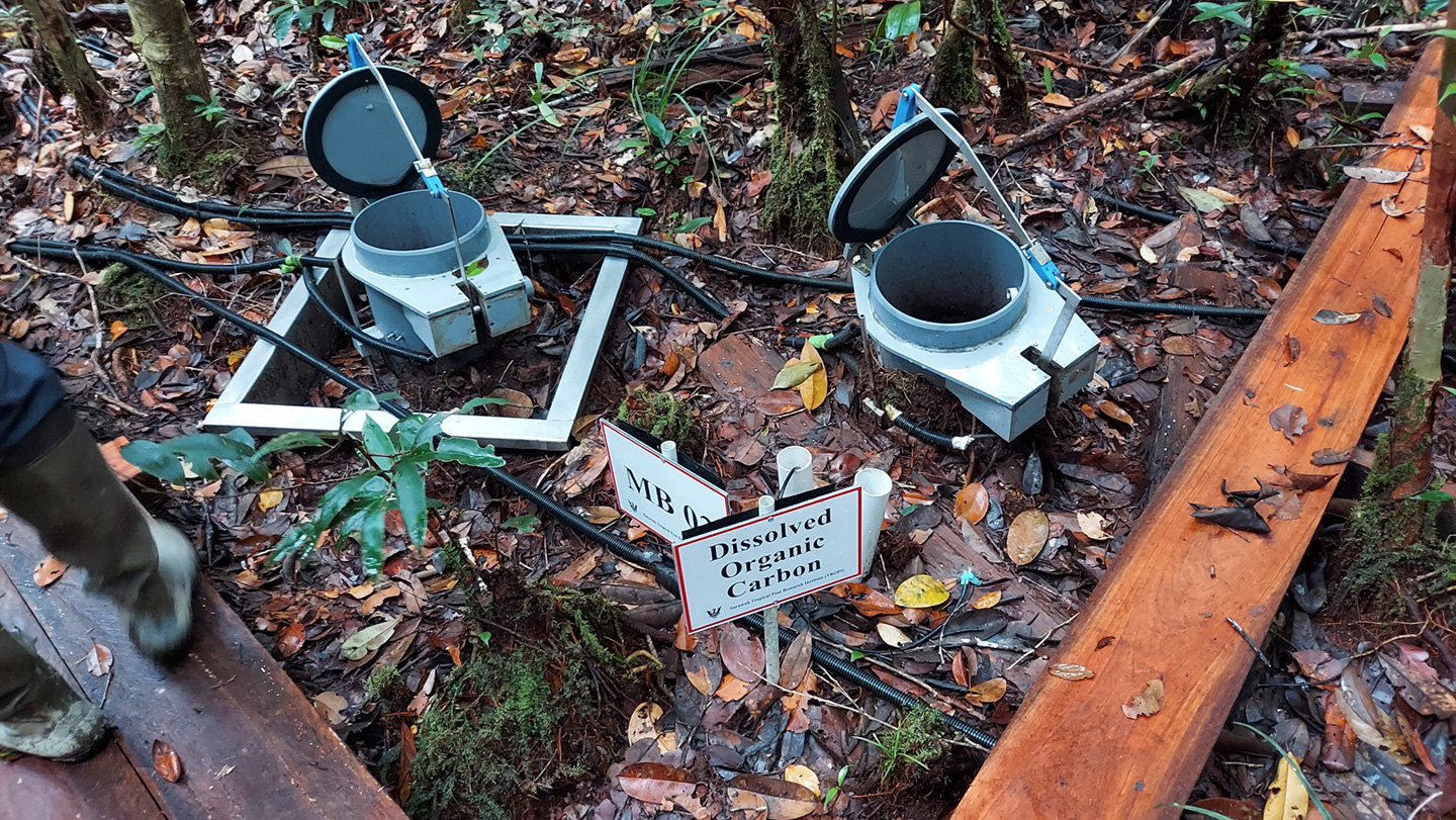 写真10　チャンバーで土壌の温室効果ガス収支を観測中。