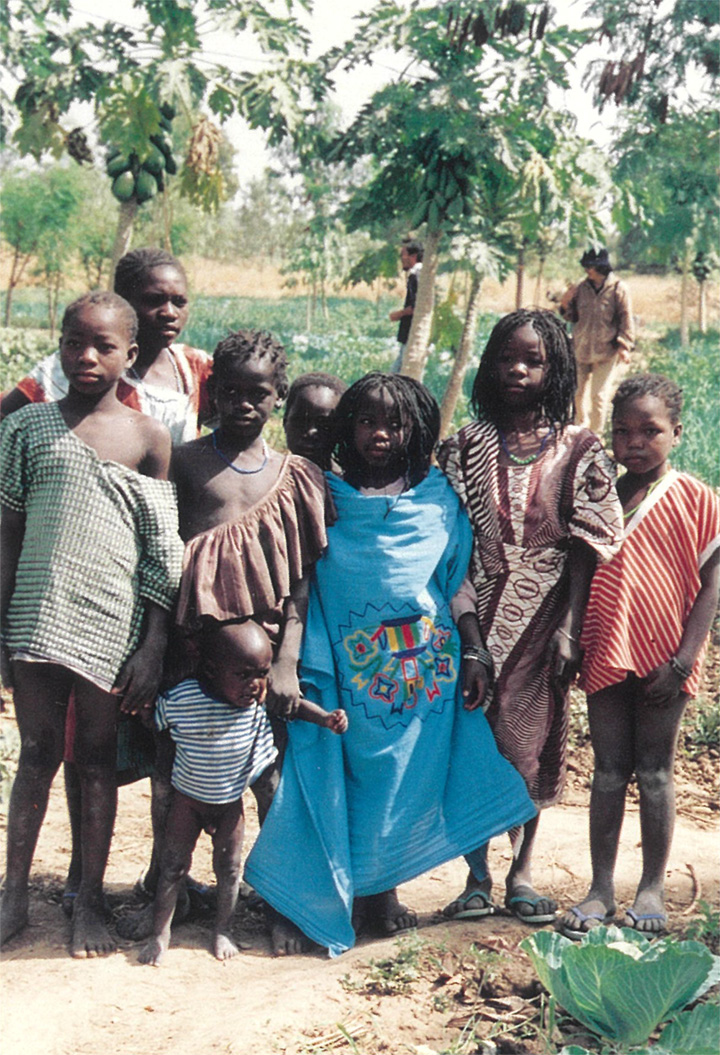 パパイヤをとりに野菜園に集まったマリの子どもたち（配布資料より）