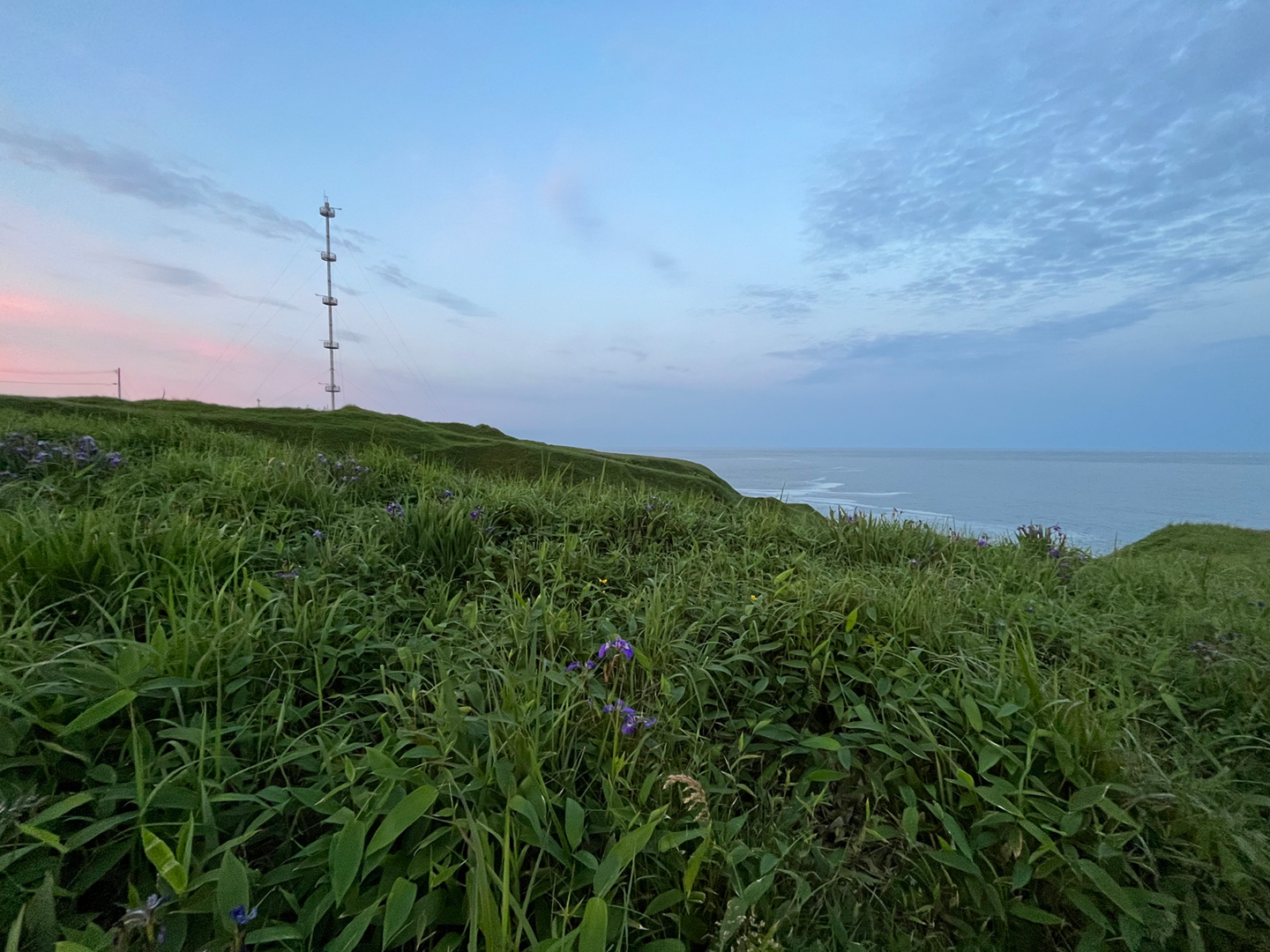 写真6　一面草原で、海の隣にひっそり立っているステーション。この貴重な環境で観測できることに改めて感謝したいと思います。