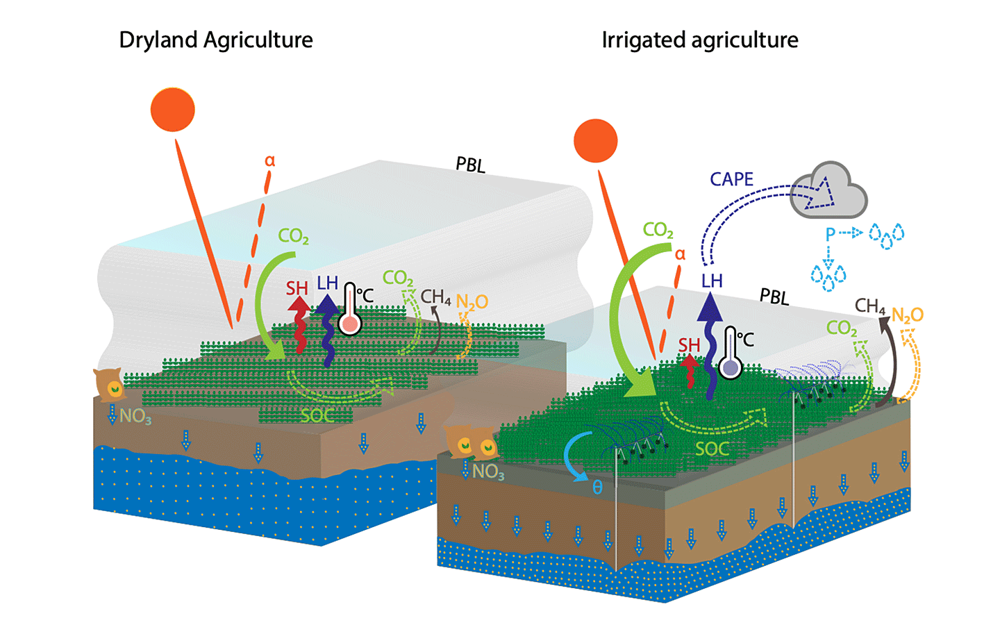 図1　a) 乾燥農地、b) 灌漑農地における地表付近のプロセス。矢印はそれぞれの要素が及ぼす影響を示す（実線：確信度が高い、点線：確信度が低い）。蒸発熱（潜熱：latent heat）および大気の運動による熱輸送（顕熱：sensible heat）の役割や、様々な物質（炭素：carbon, 亜酸化窒素：N2O, メタン：CH4, 硝酸塩：NO3）の循環も示されている。