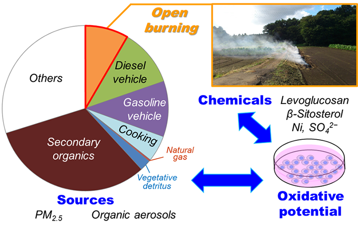 Fig. 1. Overview of this study and the estimated source contributions to the annual average organic aerosol (OC in PM2.5) concentration.