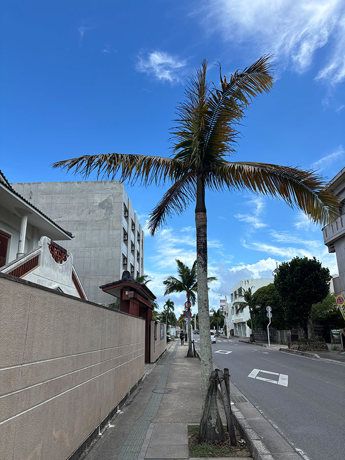 写真：ホテルまでの道