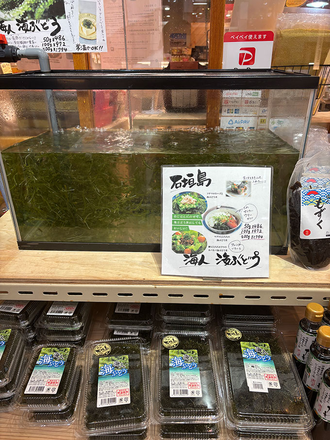 写真：商店街の様子