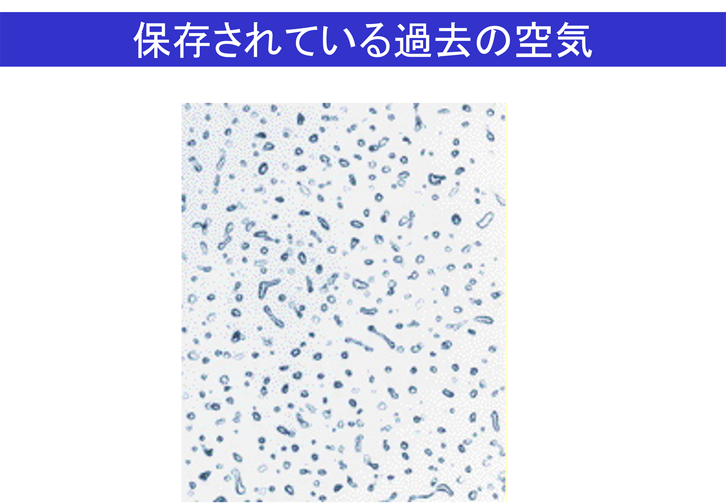 保存されている過去の空気