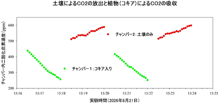 図１：ワークショップでのチャンバー実験によるデータ「土壌によるCO2の放出と植物（コキア）によるCO2の吸収」