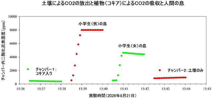 図２：ワークショップでのチャンバー実験によるデータ「土壌によるCO2の放出と植物（コキア）によるCO2の吸収と人間の息」