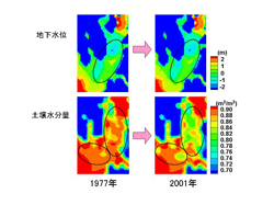 図３　釧路湿原の地下水位(地表面に対する相対値)と土壌水分量のシミュレーション結果
